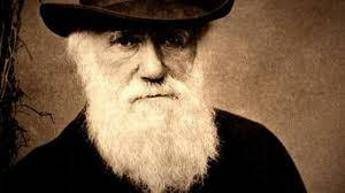 Darwin Day, a febbraio manifestazioni in tutt'Italia Darwin Day, a febbraio manifestazioni in tutt'Italia
