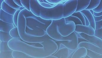 Arriva la web serie sulla sindrome dell'intestino corto Arriva la web serie sulla sindrome dell'intestino corto