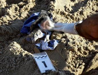 Cadavere sulla spiaggia a Termoli Cadavere sulla spiaggia a Termoli