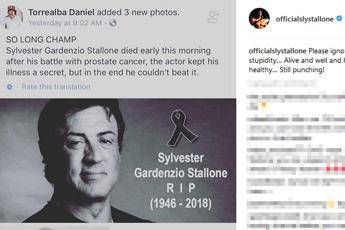 Stallone è morto: Rocky risponde alla bufala Stallone è morto: Rocky risponde alla bufala