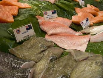 Il mare si aiuta a tavola con il pesce certificato Il mare si aiuta a tavola con il pesce certificato