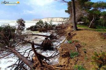 Spiaggia Eraclea sempre più in agonia Spiaggia Eraclea sempre più in agonia