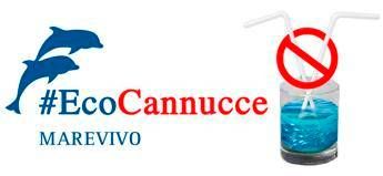 Dal drink al mare, stop alle cannucce Dal drink al mare, stop alle cannucce