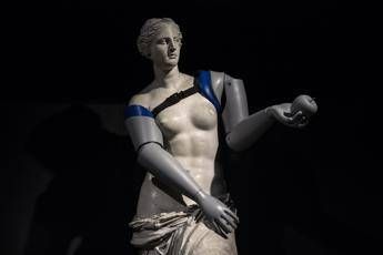 La Venere con le protesi La Venere con le protesi