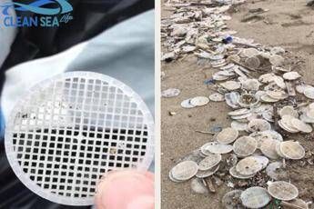 Risolto il mistero dei dischetti di plastica Risolto il mistero dei dischetti di plastica