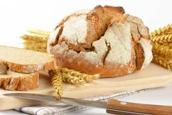 In Irpinia si salvano i 'Grani Antichi' In Irpinia si salvano i 'Grani Antichi'