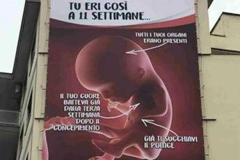 #rimozionesubito, social contro il manifesto ProVita #rimozionesubito, social contro il manifesto ProVita
