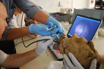 Fbi svela mistero antica mummia egizia Fbi svela mistero antica mummia egizia