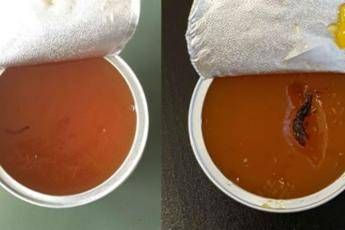 Vermi nei pasti dei bimbi a mensa Vermi nei pasti dei bimbi a mensa