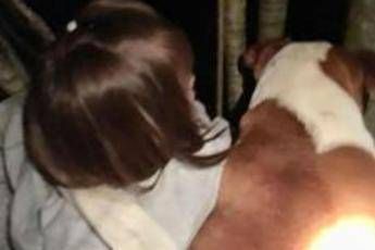 Pitbull cane affettivo, ecco perché ha protetto le gemelline Pitbull cane affettivo, ecco perché ha protetto le gemelline