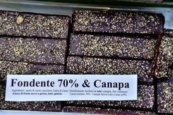 Birra e lecca lecca gusto cannabis, cosa c'è dentro? Birra e lecca lecca gusto cannabis, cosa c'è dentro?