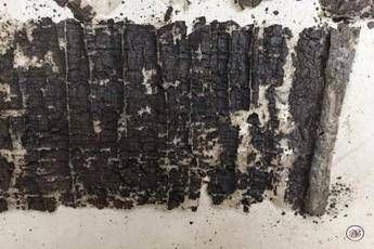 Ritrovate a Ercolano le 'Historiae' di Seneca il Vecchio Ritrovate a Ercolano le 'Historiae' di Seneca il Vecchio