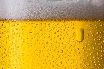 Peroni, 10 anni di sostenibilità Peroni, 10 anni di sostenibilità