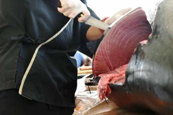 Mangiano tonno avariato e si sentono male Mangiano tonno avariato e si sentono male