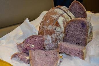 Arriva Well-Bred, pane viola elisir della salute made in Italy Arriva Well-Bred, pane viola elisir della salute made in Italy