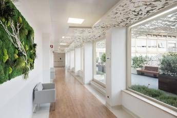 'Giardino pensile terapeutico' in ospedale per le donne con tumore 'Giardino pensile terapeutico' in ospedale per le donne con tumore