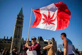Il Canada legalizza la marijuana Il Canada legalizza la marijuana