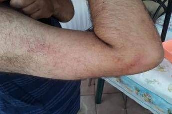 Firenze, aggredito da tre uomini perché gay Firenze, aggredito da tre uomini perché gay
