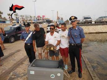 Salvata da un carabiniere tartaruga caretta Salvata da un carabiniere tartaruga caretta