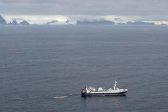 Pesca del krill, stop nell'Antartico Pesca del krill, stop nell'Antartico