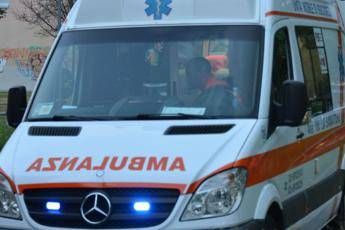 Attaccato da vespe, giardiniere in coma Attaccato da vespe, giardiniere in coma