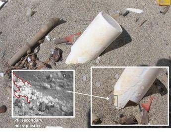 Microplastiche sulle nostre spiagge, fino a 2mila tonnellate Microplastiche sulle nostre spiagge, fino a 2mila tonnellate
