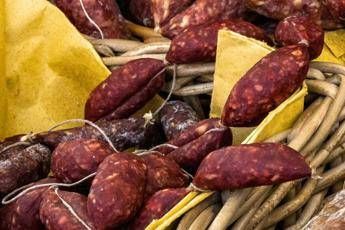Allerta salmonella, ritirato lotto di salamini Allerta salmonella, ritirato lotto di salamini