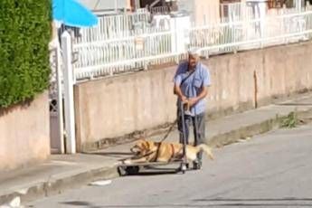 Tonino e il cane malato, la storia che commuove Tonino e il cane malato, la storia che commuove