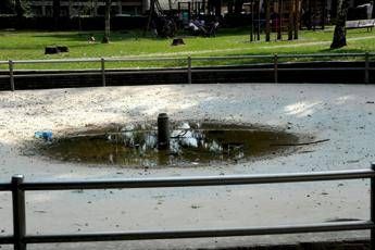Legionella, il batterio a casa di un malato e in una fontana Legionella, il batterio a casa di un malato e in una fontana