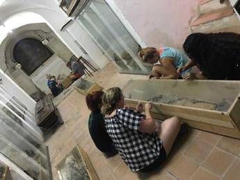 Scoperto primo caso sindrome Marfan in mummia Palermo Scoperto primo caso sindrome Marfan in mummia Palermo