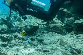 19enne muore mentre pesca in apnea 19enne muore mentre pesca in apnea