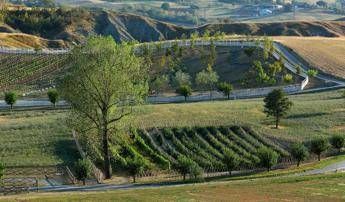 Rural Festival, torna l'appuntamento con la biodiversità Rural Festival, torna l'appuntamento con la biodiversità