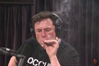 Spinello in diretta per Elon Musk Spinello in diretta per Elon Musk