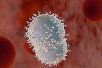 Sul web il punto su meningite e vaccini, tra ricerca e fake news Sul web il punto su meningite e vaccini, tra ricerca e fake news