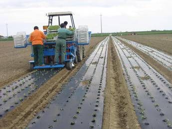 Agricoltura, tutte le soluzioni a basso impatto Agricoltura, tutte le soluzioni a basso impatto