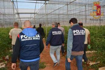 Sfruttavano braccianti africani, 4 arresti Sfruttavano braccianti africani, 4 arresti