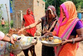 India, per le donne in dolce attesa niente carne e pensieri impuri India, per le donne in dolce attesa niente carne e pensieri impuri