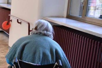 Probiotici contro l'Alzheimer, migliorano le performance cognitive Probiotici contro l'Alzheimer, migliorano le performance cognitive