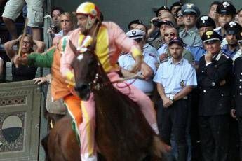 Siena, il sindaco al governo: Serve norma ad hoc per il Palio Siena, il sindaco al governo: Serve norma ad hoc per il Palio