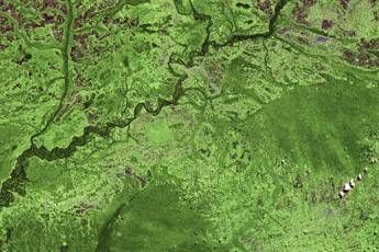 Spazio, l'Esa accende un faro su agricoltura, satelliti e sfide sul clima Spazio, l'Esa accende un faro su agricoltura, satelliti e sfide sul clima