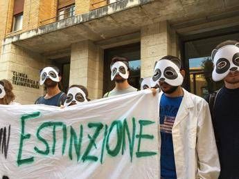 Medici in estinzione Medici in estinzione