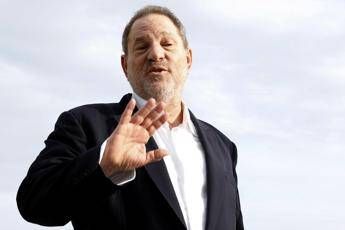 Pulitzer al caso Weinstein Pulitzer al caso Weinstein