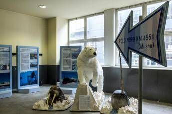 'Artico' in mostra a Milano 'Artico' in mostra a Milano