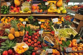 Ossessionati dal cibo sano, 1 italiano su 3 conosce un ortoressico Ossessionati dal cibo sano, 1 italiano su 3 conosce un ortoressico