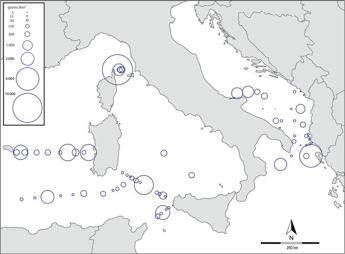 Nel Mediterraneo una 'zuppa' di plastica, costa toscana la più colpita Nel Mediterraneo una 'zuppa' di plastica, costa toscana la più colpita