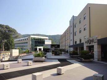In Italia 30mila nuovi casi di epilessia ogni anno, convegno al Neuromed /Video In Italia 30mila nuovi casi di epilessia ogni anno, convegno al Neuromed /Video