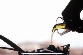 'Sirena d'Oro' premia migliore olio extravergine 'Sirena d'Oro' premia migliore olio extravergine