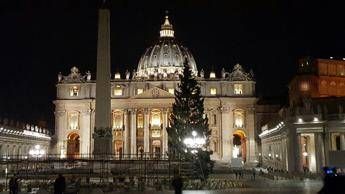 Arriva l'Albero di Natale (sostenibile) in piazza San Pietro Arriva l'Albero di Natale (sostenibile) in piazza San Pietro