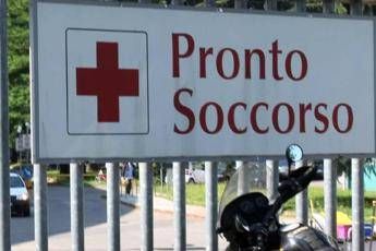 Torino, bimbo in bicicletta aggredito da cane Torino, bimbo in bicicletta aggredito da cane