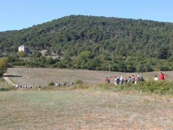 Un ingresso verde a Roma per i pellegrini che percorrono la Via Francigena Un ingresso verde a Roma per i pellegrini che percorrono la Via Francigena